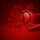Happy Valentines Day | Wallpapers & Images